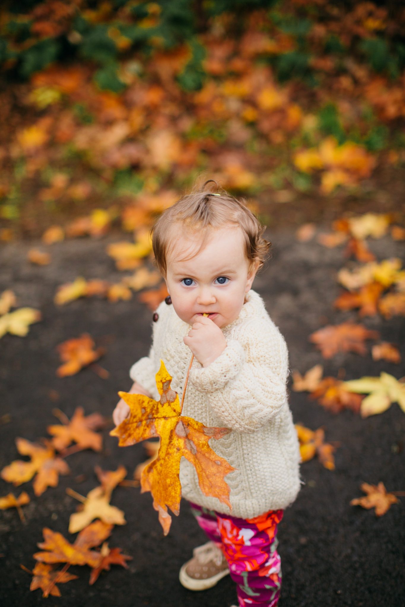 Swann Family Fall 2015 FINALS-50