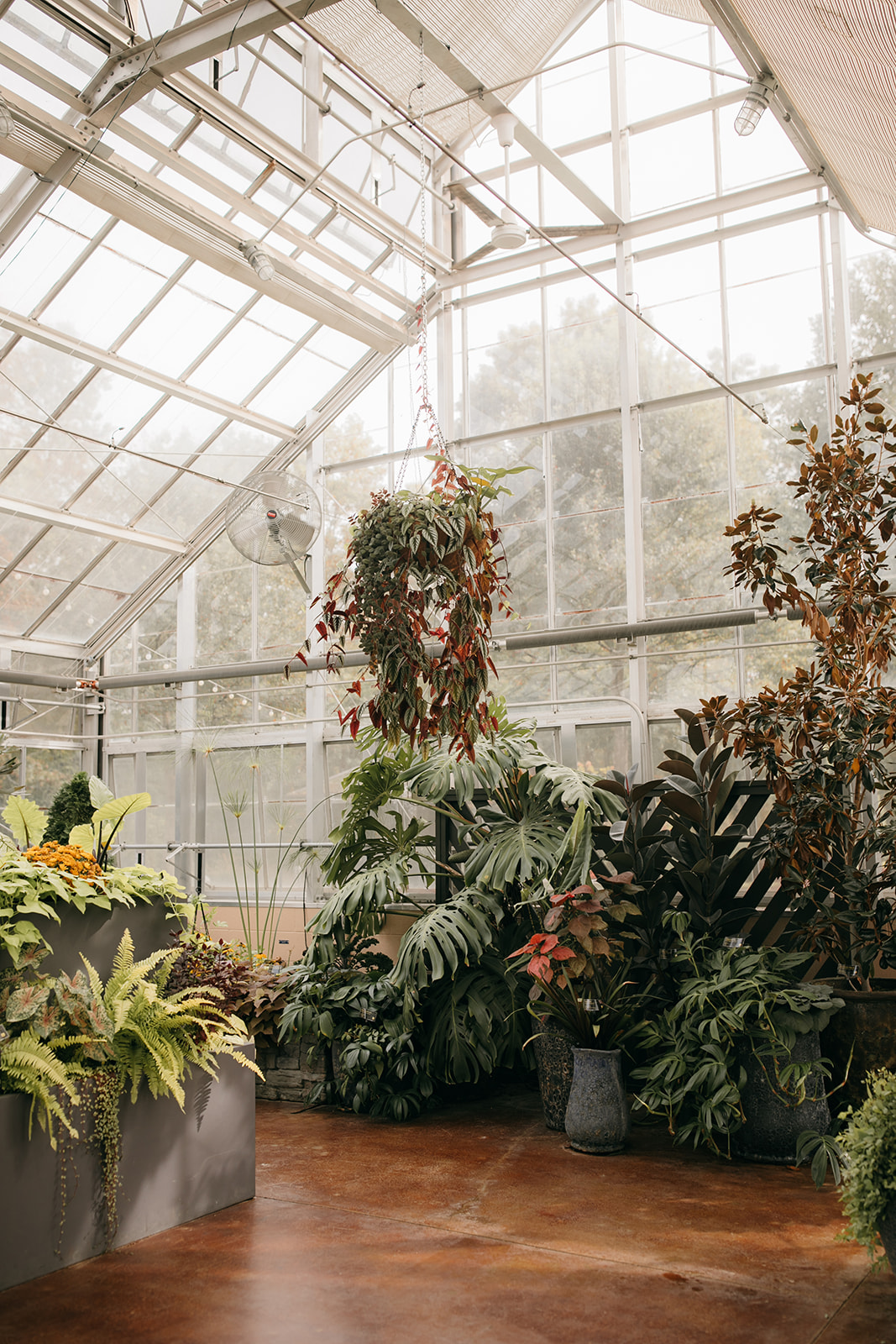 Lush greenhouse and botanical displays that make NC Arboretum weddings so unique.