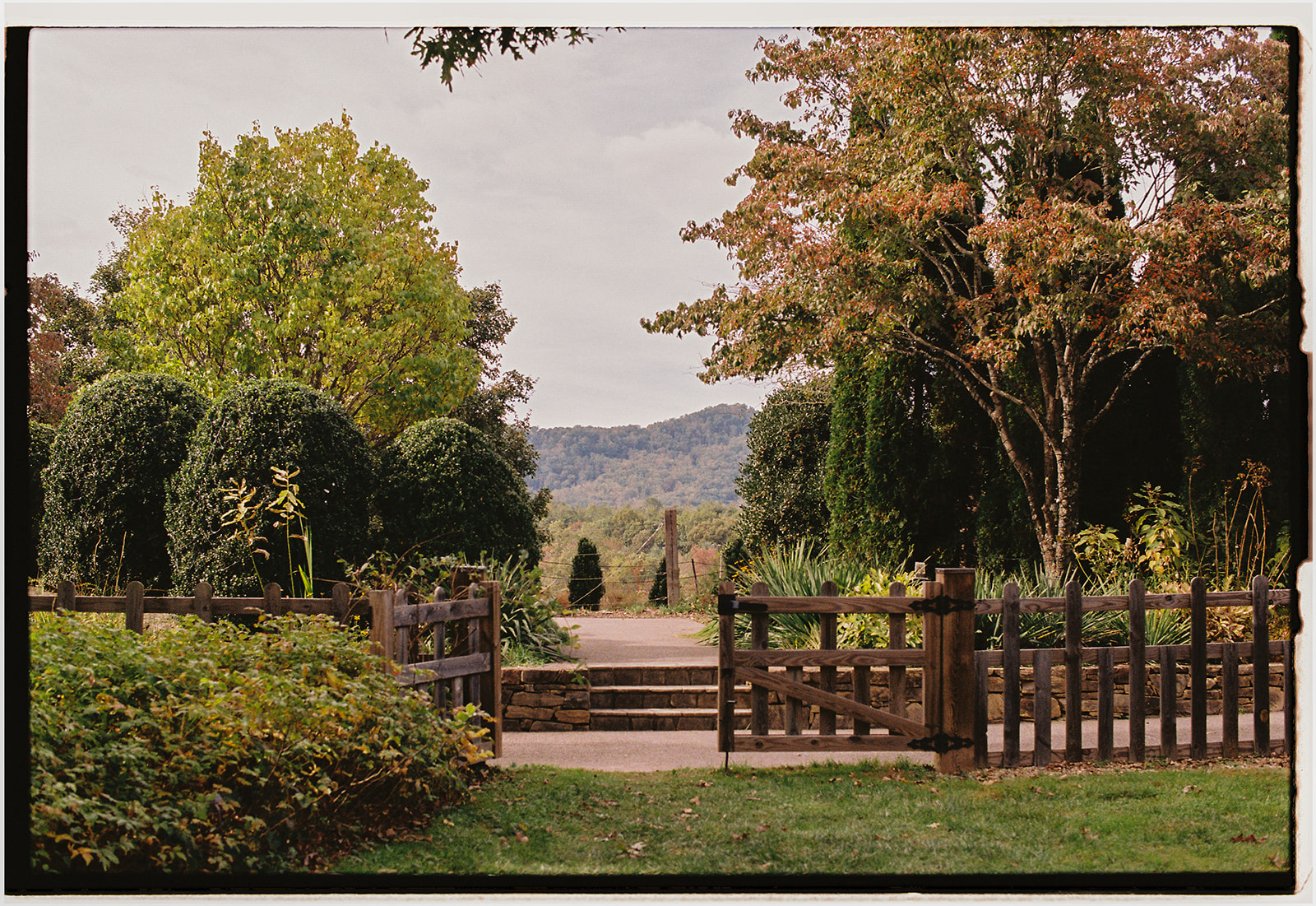 Garden pathways and mountain views surrounding a North Carolina Arboretum wedding venue. 